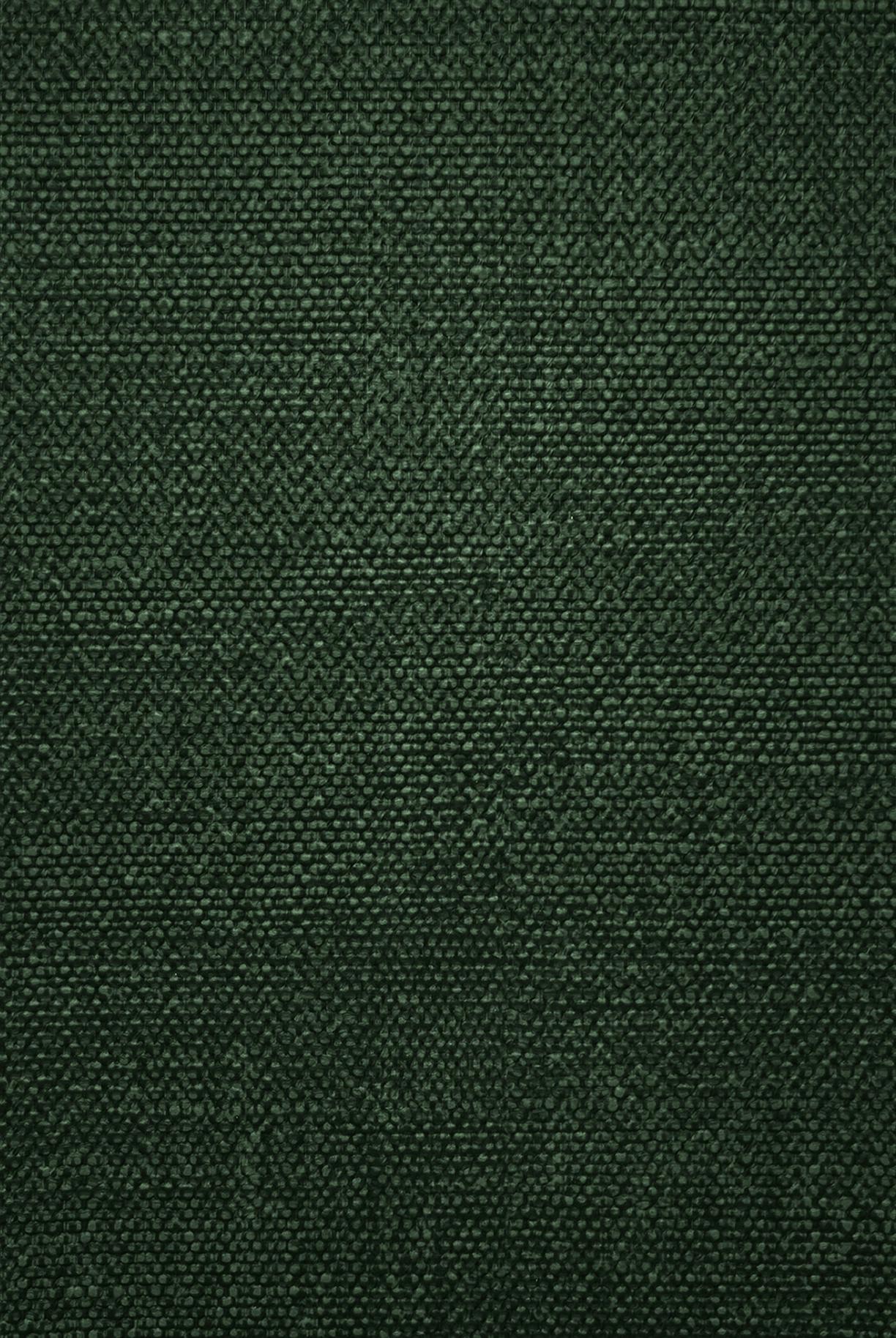 CanapaG337