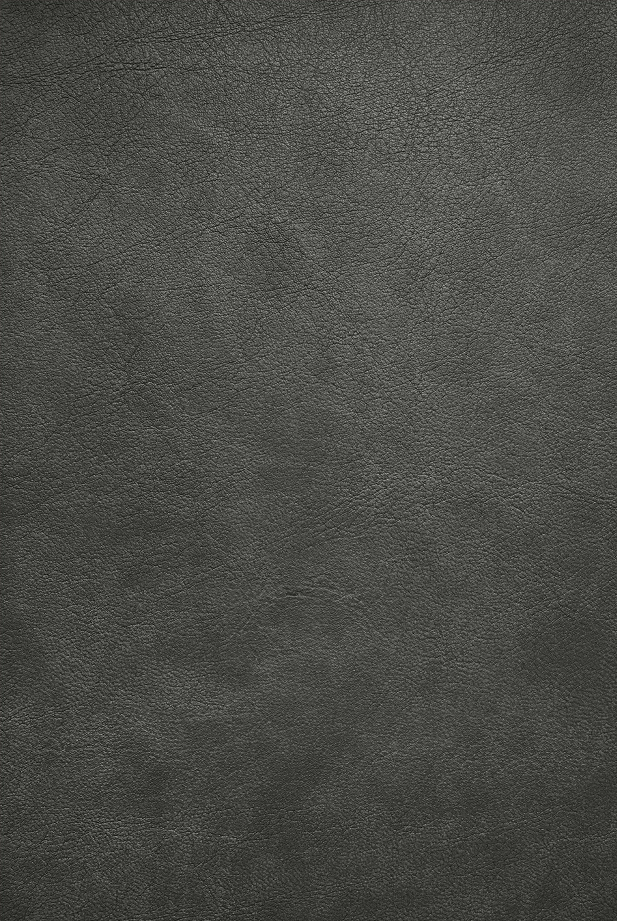 Parigina4708