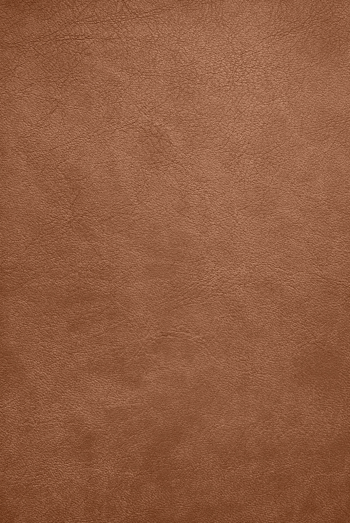 Parigina4898