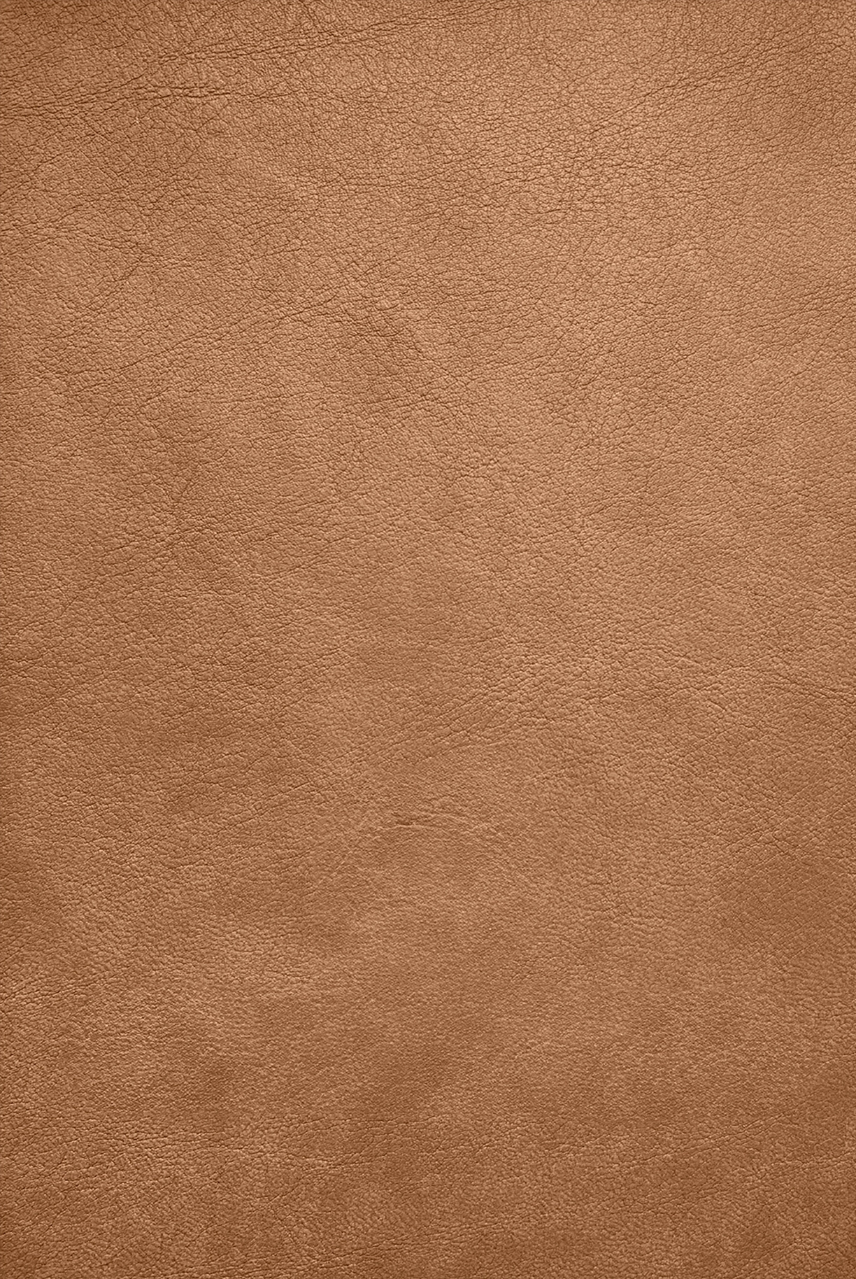 Parigina4916